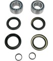 FRT WHEEL BRG KIT HON