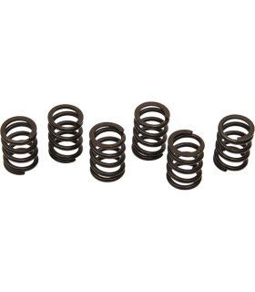 CLUTCH SPRING SET