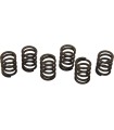 CLUTCH SPRING SET