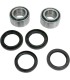 RR WHEEL BRG KIT AC