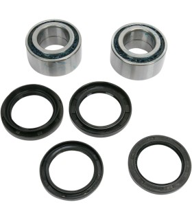 RR WHEEL BRG KIT AC