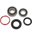 REAR WHL BEARING KIT HON