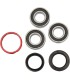 REAR WHL BEARING KIT HON