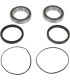 REAR WHEEL BEARING KIT