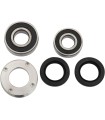 REAR WHEEL BRG KIT