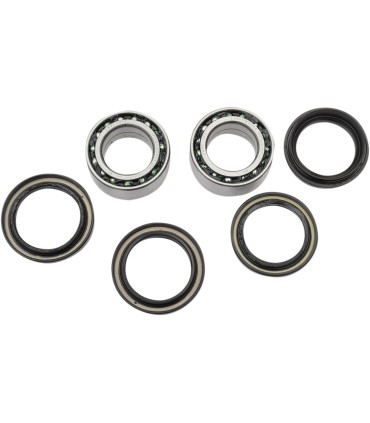 RR WHEEL BRG KIT RINCON