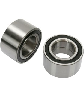 RR WHEEL BRG KIT POL
