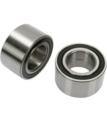 RR WHEEL BRG KIT POL