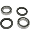 REAR WHEEL BEARING KIT