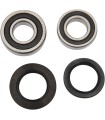 REAR WHL BEARING KIT YAM