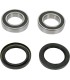 REAR WHEEL BEARING KIT