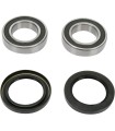 REAR WHEEL BEARING KIT