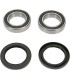 REAR WHEEL BEARING KIT