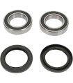 REAR WHEEL BEARING KIT
