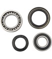 REAR WHEEL BRG KIT YAM