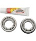STEERING STEM BEARINGS
