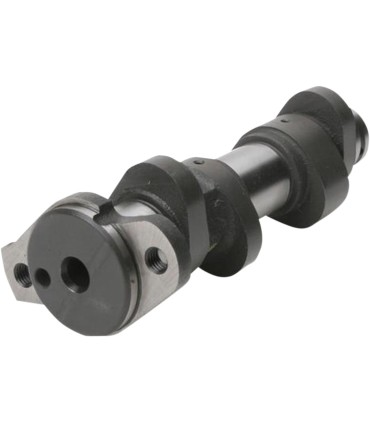 HOT CAM RAPTOR STAGE 1