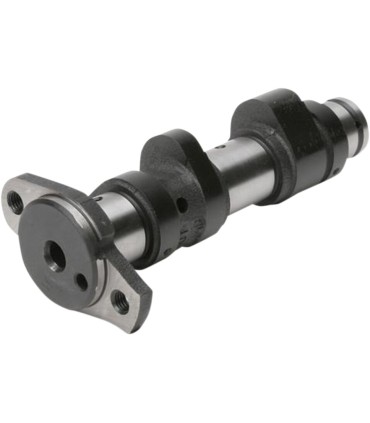 HOT CAM RAPTOR STAGE 2