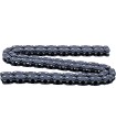 CAM CHAIN POLARIS