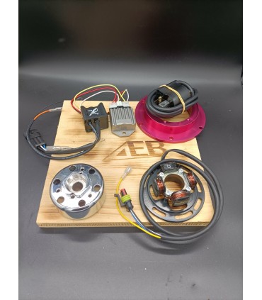 allumage racing rotor externe 330 grammes production de 12v pour rdlc 31k/4lo et banshee