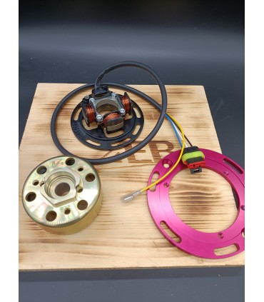 Racing Ignition 2 Maps – Lightweight External Rotor 12V | Adaptable for Multiple Models