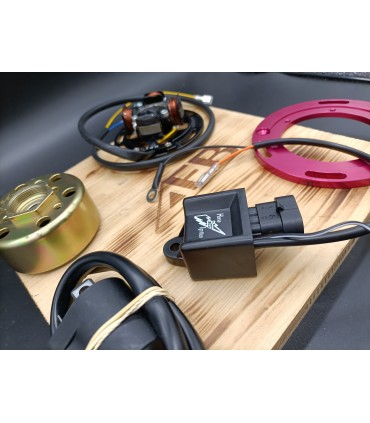 Allumage Racing 2 Maps HPI– Petit Rotor Externe 12V Adaptable | Plusieurs Modèles Disponibles