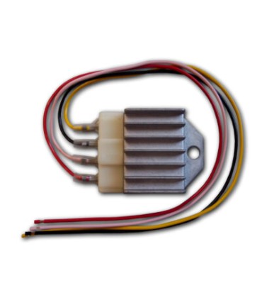 régulateur HPI 60w 12V A/C 12V D/C