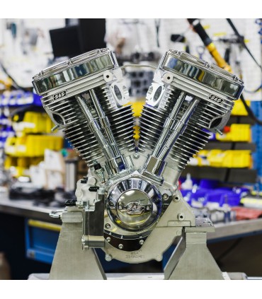 ENGINE V111 NAT W/CAST LB