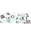 ENGINE KIT HO 66.35