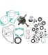 ENGINE KIT HO 66.35