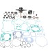ENGINE KIT KTM WR101-154