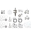ENGINE KIT KAW WR101-165