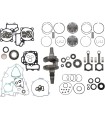 ENGINE KIT KAW WR101-166