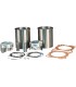 865 BIG BORE KIT 650 RE