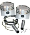 +.020REPL.PISTONS W/RINGS