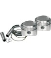 REPL.+.010PISTONS XLSS