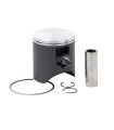 PISTON KIT RM85 02-24 47.96 C