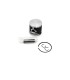 PISTON KIT SX65 09-/MC65 21-/T