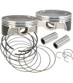 PISTONS 111/117/124 STD