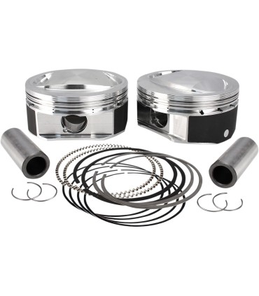 PISTONS STD 11010.6:1