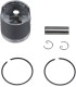 PISTON KIT 24106AB