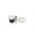PISTON KIT RR300 13-17 71.96 B