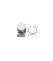 PISTON KIT R SX65 09-/TC65 17-
