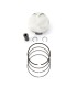 PISTON KIT HC CRF250R/RX 20-21