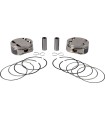 PISTONS 128 +.010 M8