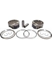 PISTONS 131 +.010 M8