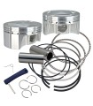 PISTON SET 100 0.927 WP