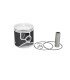 PISTON KIT RR300 22- 72.95 A