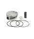 PISTON KIT BB KX250F 20-24 80.
