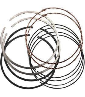 RINGS PSTN 4.125 +.020